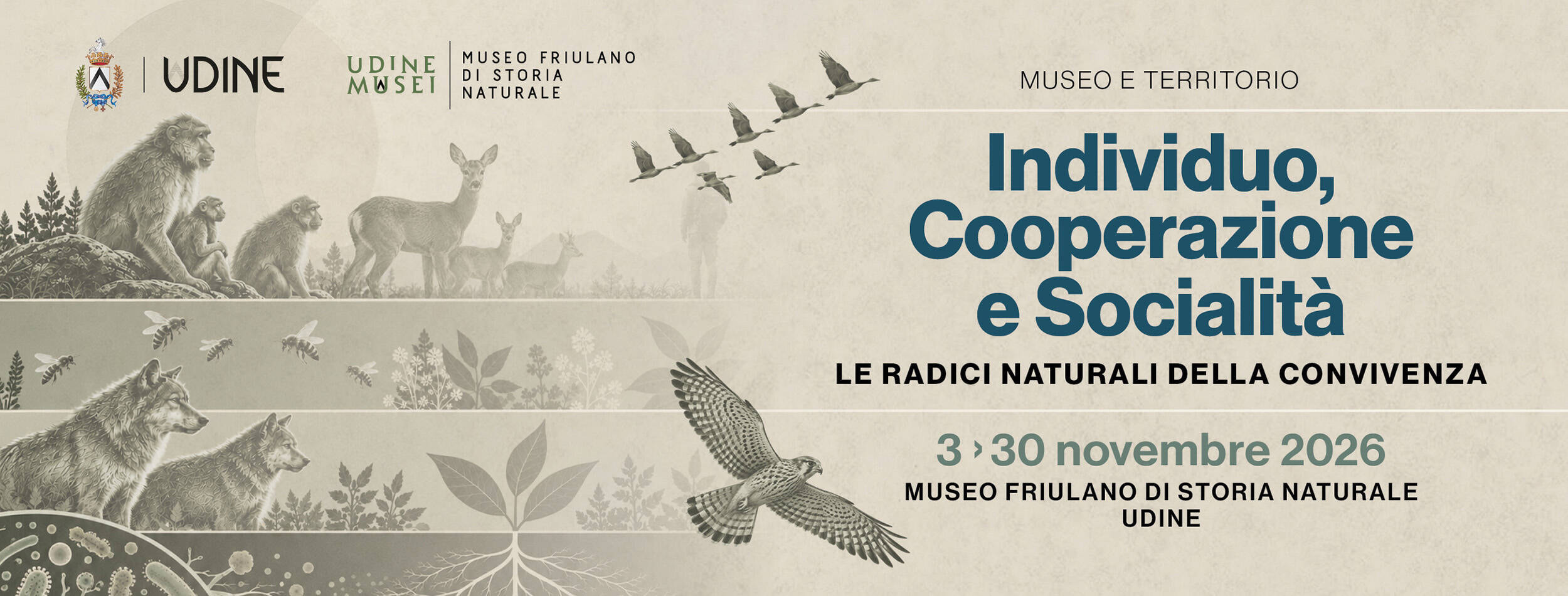 Museo e Territorio 