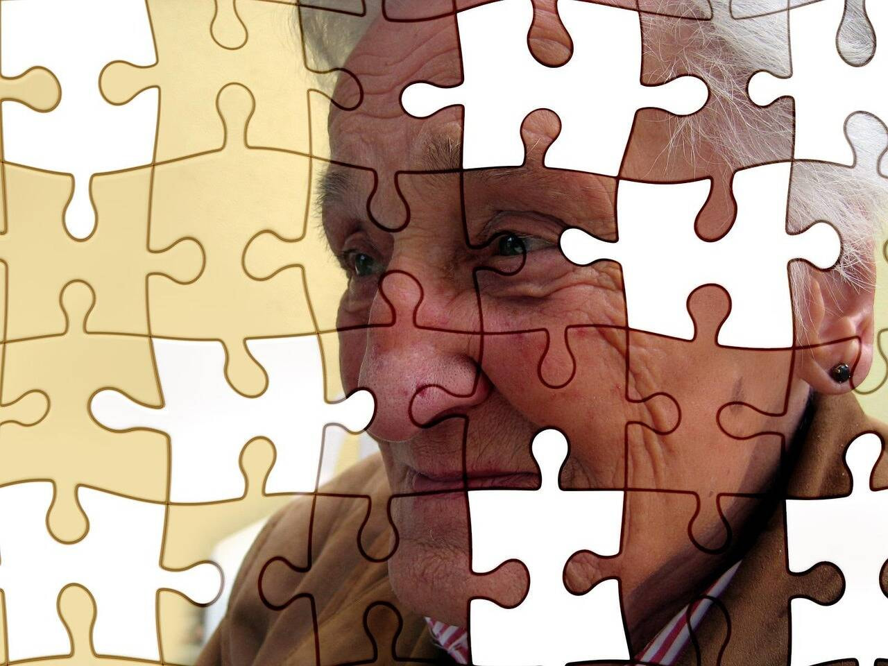Memorie difettose. Prospettive multidisciplinari 