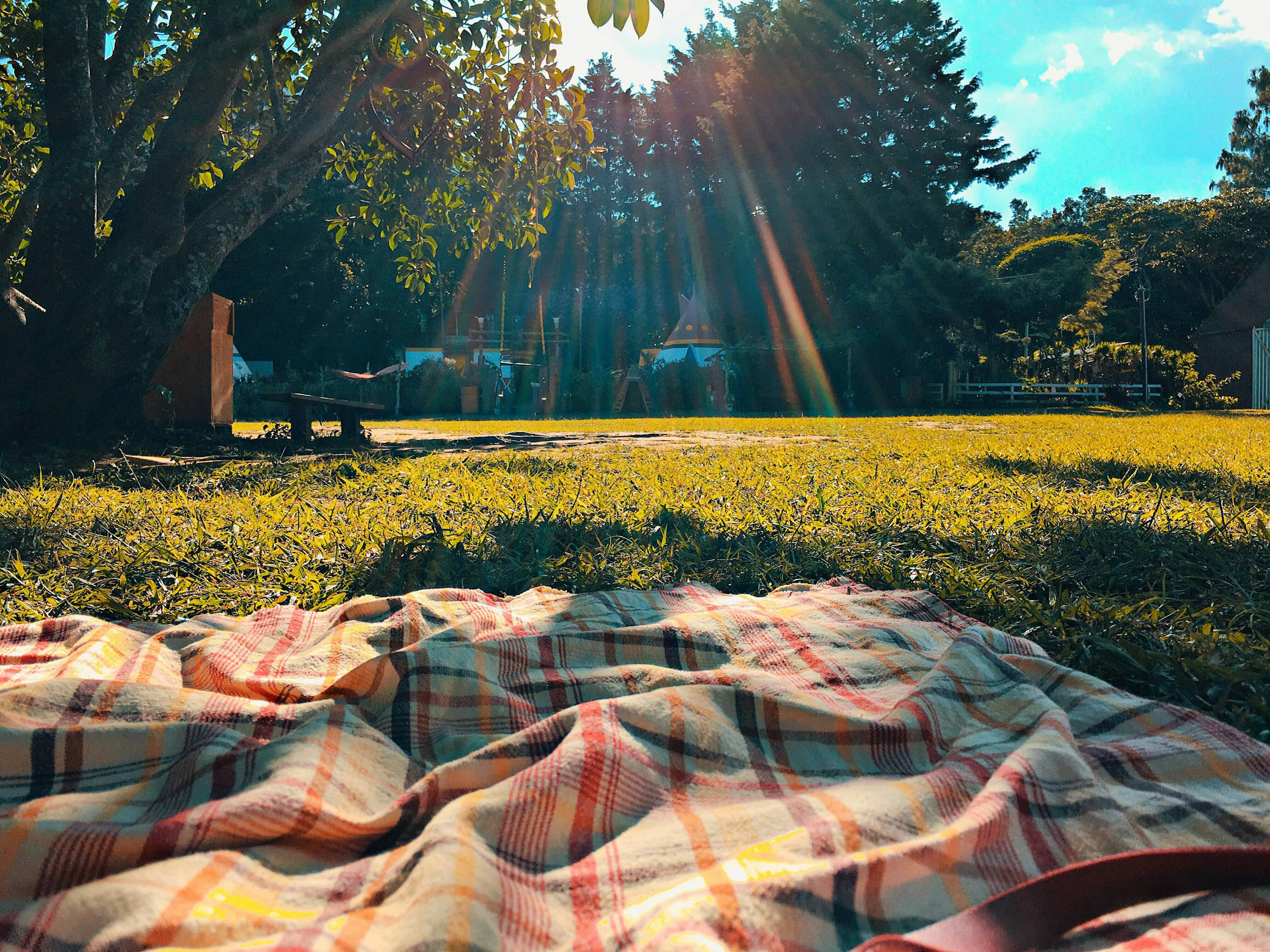 Picnic per famiglie 