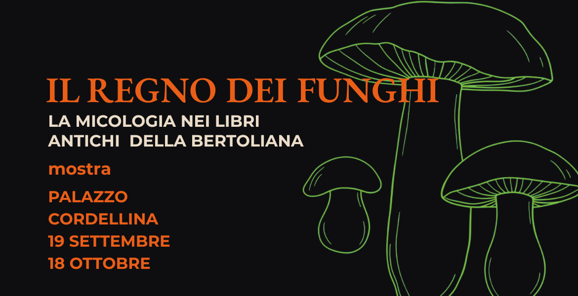 Il Regno dei Funghi: dal mistero alla conoscenza 