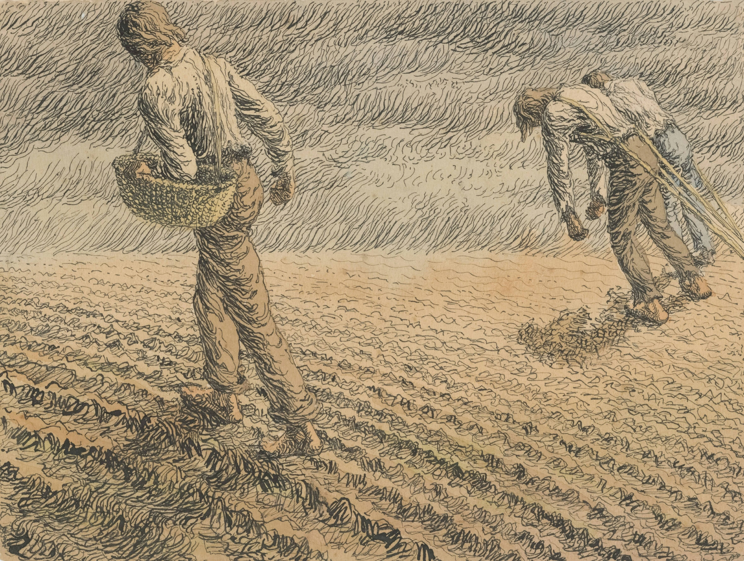 Mostra nella terra di Demetra