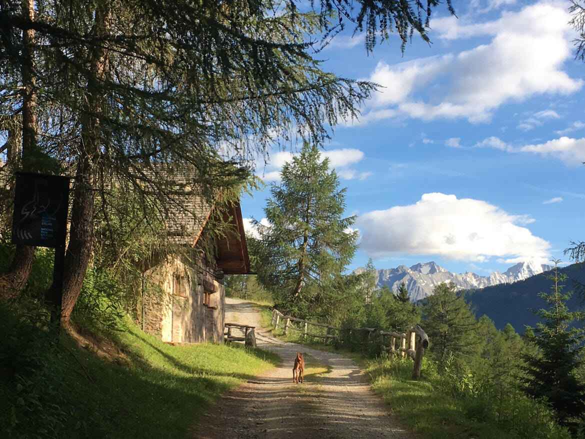 baita trentino pejo estate