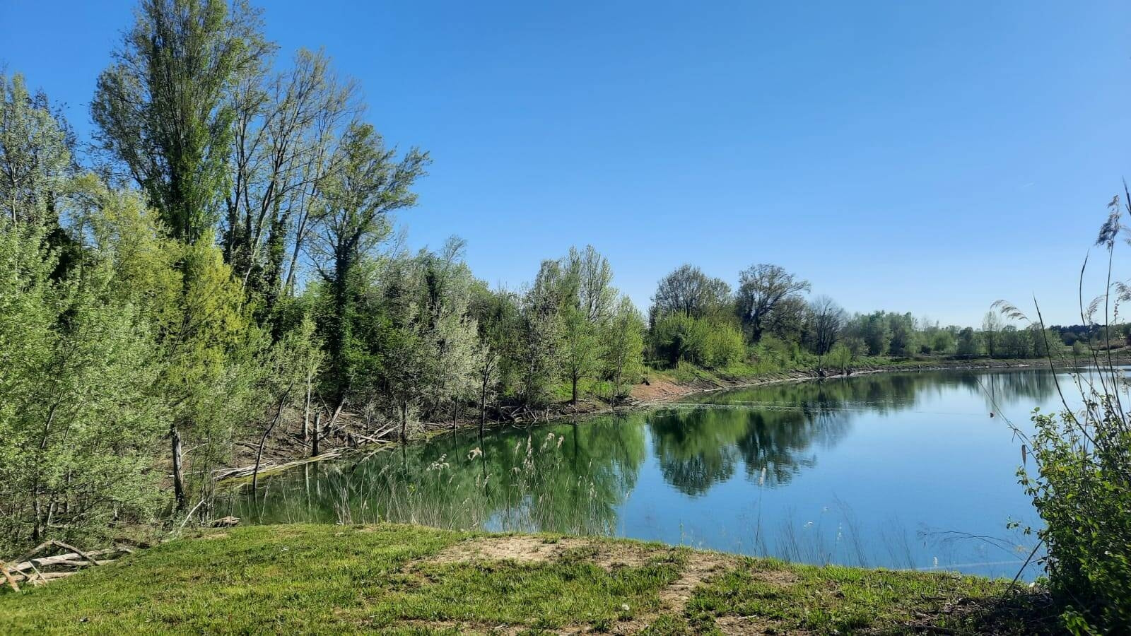 Foto delle buche Gattelli