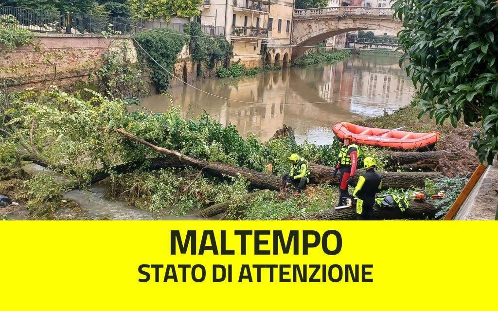 Immagine: Albero Retrone