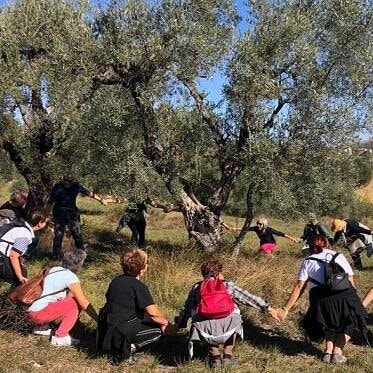 IL 25 OTTOBRE CAMMINATA FRA LI OLIVI PARTENDO DA NIBBIAIA