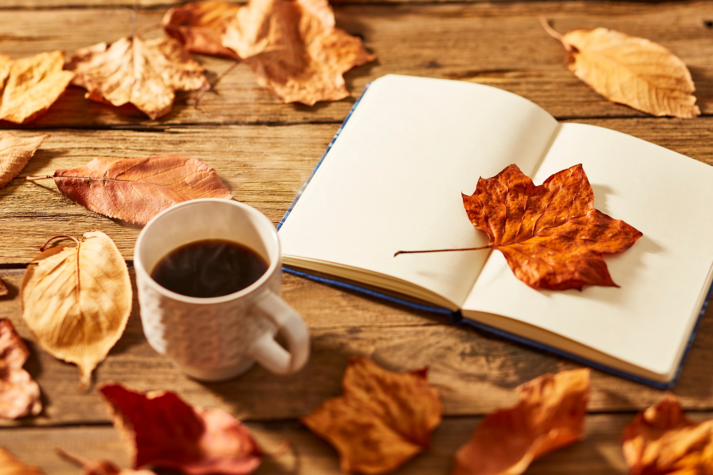 caffè e libro