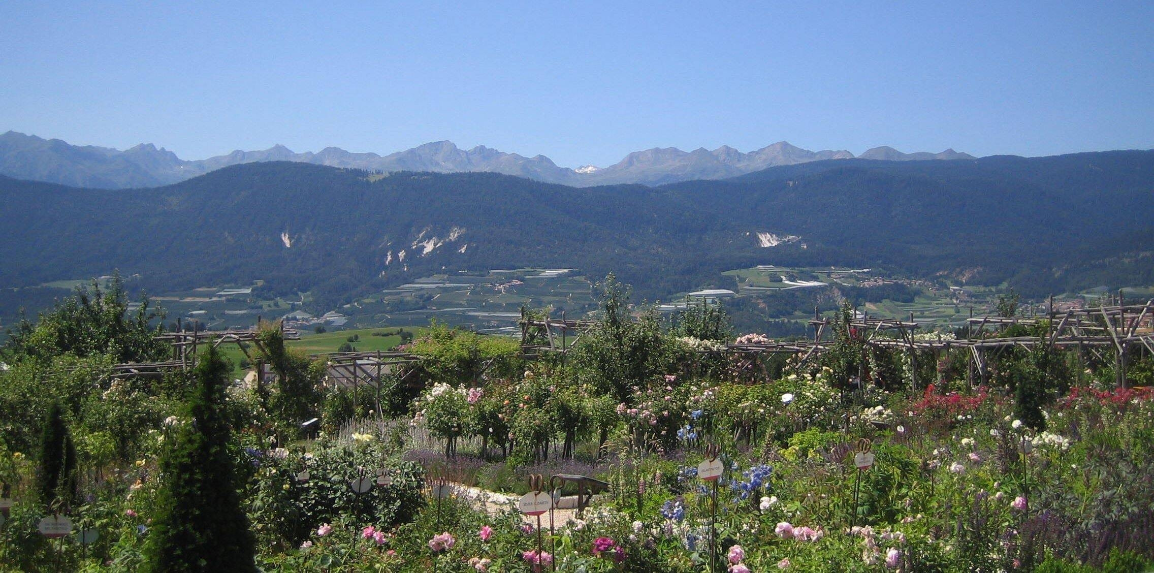 Giardino della Rosa / Luoghi / Vivere il comune / Homepage - Comune di ...