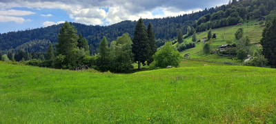 vista della prateria di monte mezza