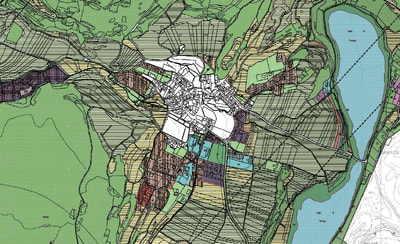 PRG variante 2024