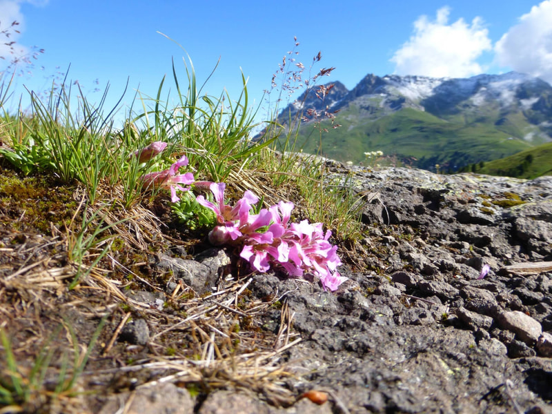 Tutte le riserve naturali del Trentino