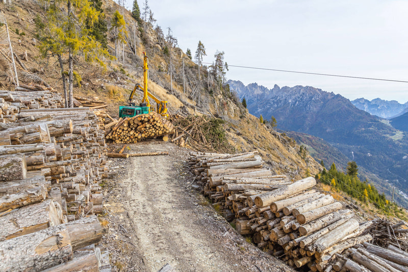 Investimenti nelle attrezzature forestali, stanziati altri 1.8 milioni di euro Investimenti nelle attrezzature forestali, stanziati altri 1.8 milioni di euro