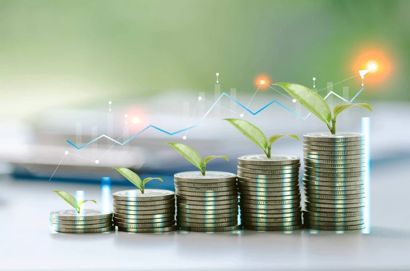 Crescita e transizione green, da oggi le domande di contributo per le imprese Crescita e transizione green, da oggi le domande di contributo per le imprese