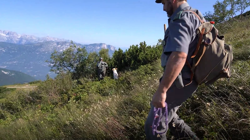 Concorso per funzionario del Corpo forestale: domande entro il 18 agosto Concorso per funzionario del Corpo forestale: domande entro il 18 agosto