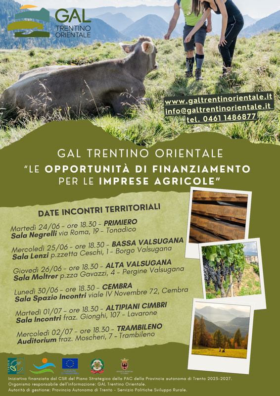 locandina incontri GAL TO