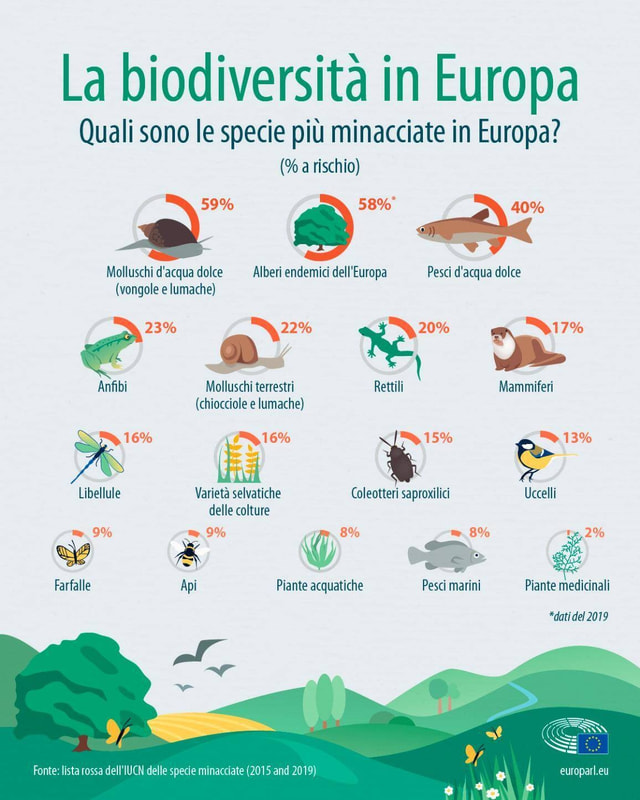 La biodiversità in Europa (1)