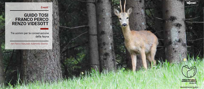 Tre uomini per la conservazione della fauna