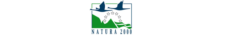 Come nasce l'idea di Rete Natura 2000