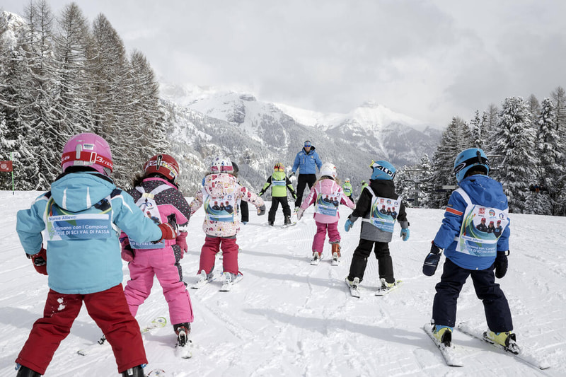 Comunicazione on line della dichiarazione preventiva per l'esercizio temporaneo di maestro di sci - Online communication of prior declaration for temporary practice of ski instructor