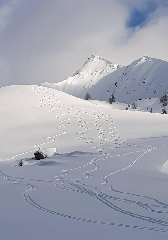 Bollettino valanghe dell'Euregio