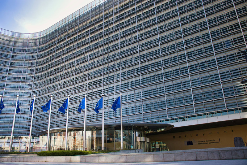 I nuovi strumenti finanziari a gestione concorrente per la politica di coesione economica, sociale e territoriale europea per il periodo di programmazione 2028-2034