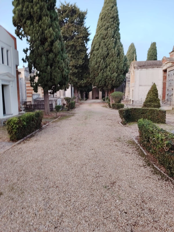 Immagine: cimiteri cittadini