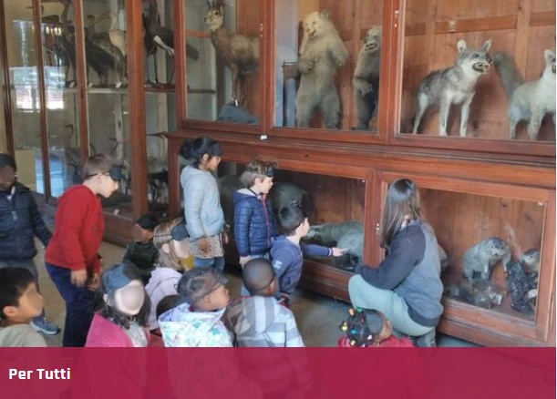 Visita guidata giocata al Museo di Storia Naturale