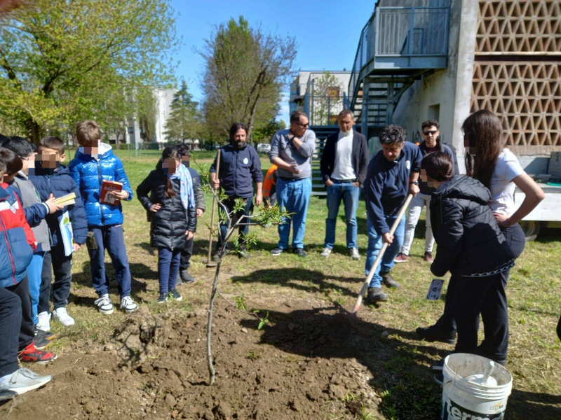 Piantumazione alberi