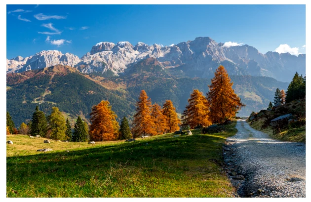 Immagine decorativa