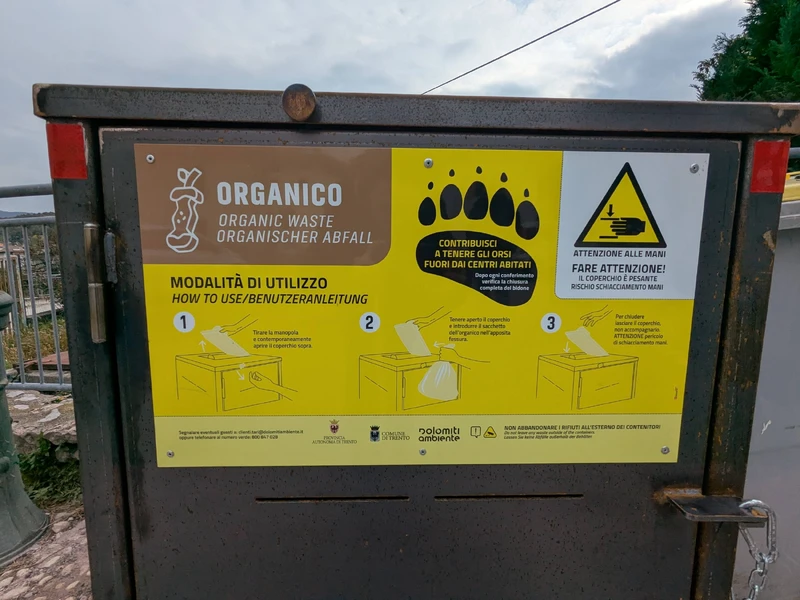Immagine decorativa