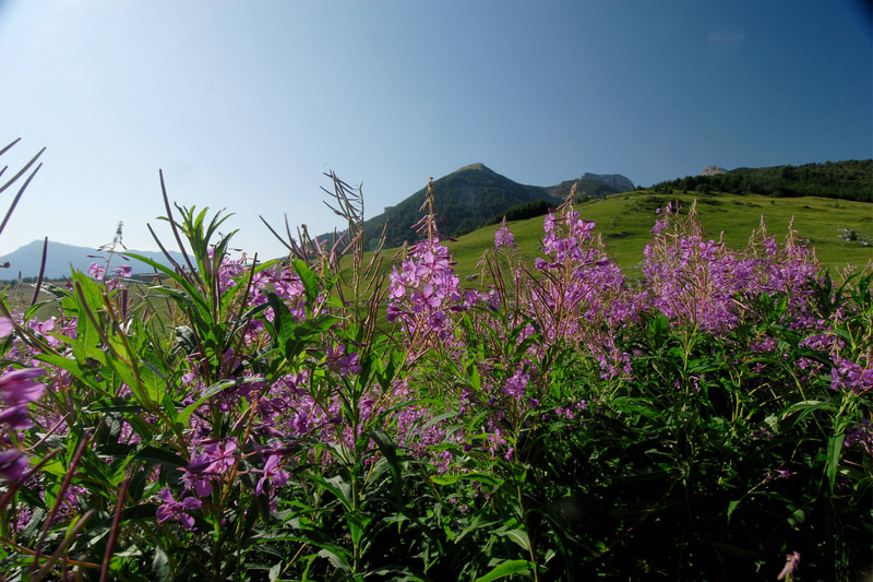 Monte Bondone