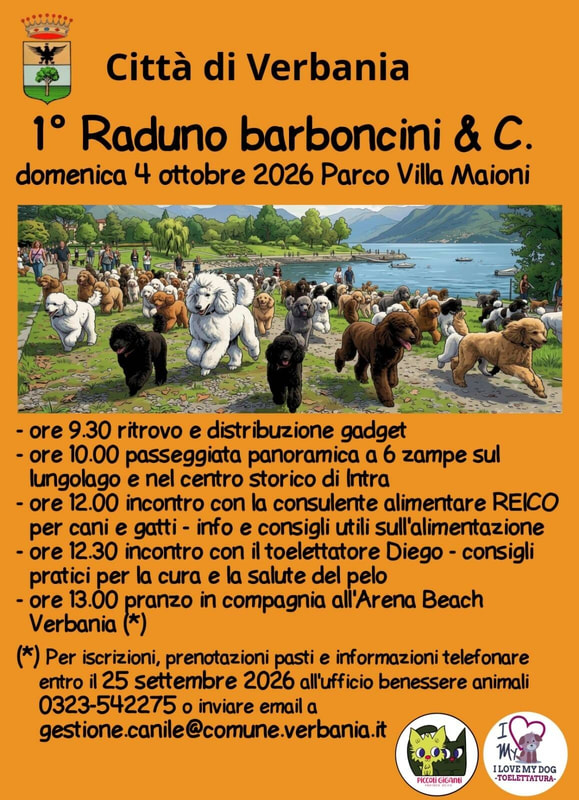 Arriva il raduno dei barboncini